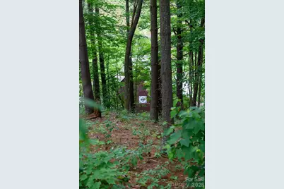 Tbd Sycamore Road, Vilas, NC 28692 - Photo 29