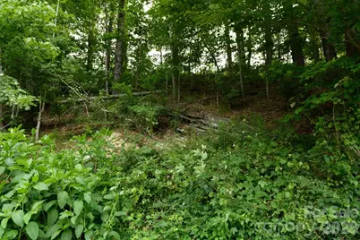 Tbd Sycamore Road, Vilas, NC 28692 - Photo 15