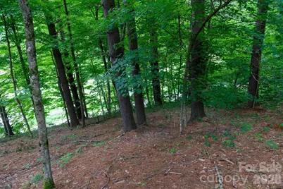 Tbd Sycamore Road, Vilas, NC 28692 - Photo 27