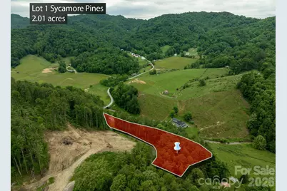 Tbd Sycamore Road, Vilas, NC 28692 - Photo 5
