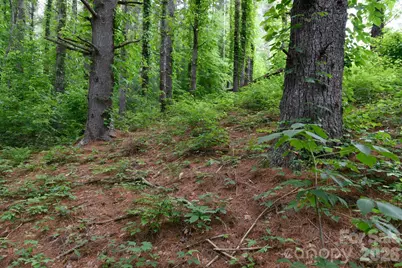 Tbd Sycamore Road, Vilas, NC 28692 - Photo 25