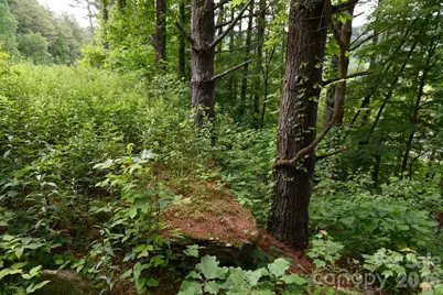 Tbd Sycamore Road, Vilas, NC 28692 - Photo 17