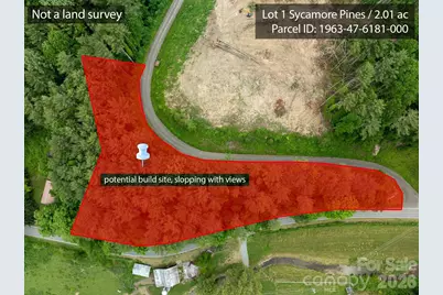 Tbd Sycamore Road, Vilas, NC 28692 - Photo 1