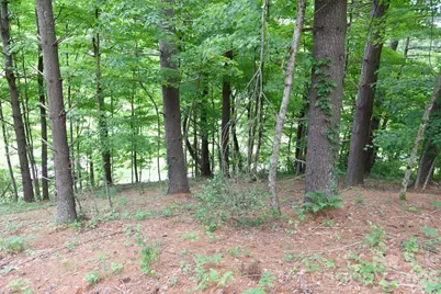 Tbd Sycamore Road, Vilas, NC 28692 - Photo 21