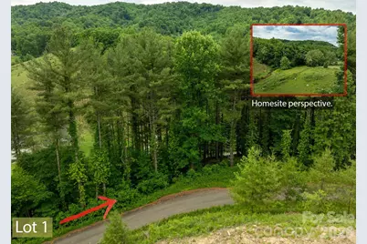 Tbd Sycamore Road, Vilas, NC 28692 - Photo 9