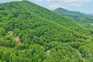 49 Wilderness Trail, Candler, NC 28715 - Photo 41