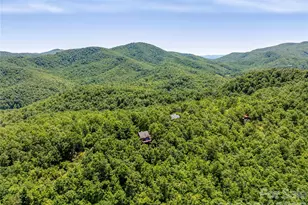 350 Winding Rdg Rd, Black Mountain, NC 28711 - Photo 47