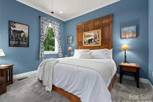 40 Shining Rock Dr, Canton, NC 28716 - Photo 21