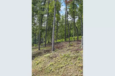 99999 Bear View Road, Weaverville, NC 28787 - Photo 9