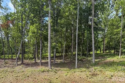 99999 Bear View Road, Weaverville, NC 28787 - Photo 3