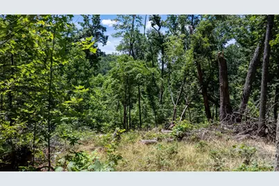 108 Mountain Brook Trail, Nebo, NC 28761 - Photo 7