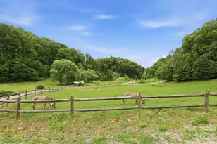 570 Rugged Top Rd, Waynesville, NC 28785 - Photo 35