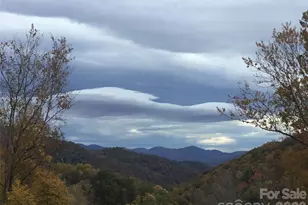 570 Rugged Top Rd, Waynesville, NC 28785 - Photo 39