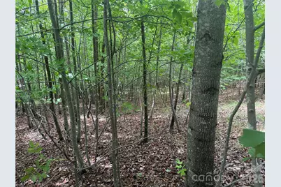 V/L Scenic Vista Drive #246, Nebo, NC 28761 - Photo 5