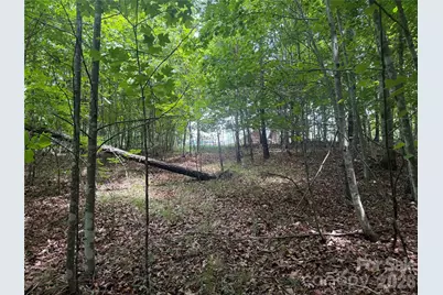 V/L Scenic Vista Drive #246, Nebo, NC 28761 - Photo 9