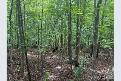V/L Scenic Vista Drive #246, Nebo, NC 28761 - Photo 3