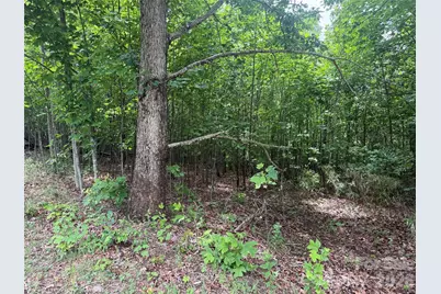 V/L Scenic Vista Drive #246, Nebo, NC 28761 - Photo 13