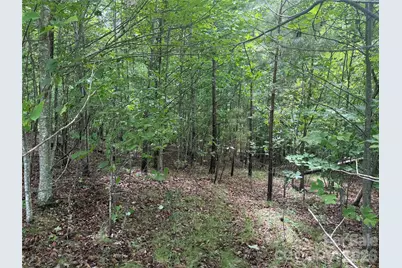 V/L Scenic Vista Drive #246, Nebo, NC 28761 - Photo 11