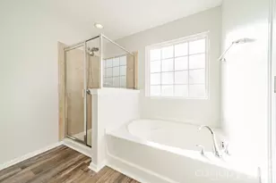 18426 W Catawba Ave, Cornelius, NC 28031 - Photo 21