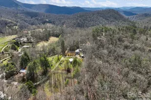 46 S Kimiko Ln, Balsam Grove, NC 28708 - Photo 17