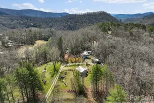 46 S Kimiko Ln, Balsam Grove, NC 28708 - Photo 21