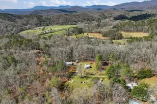 46 S Kimiko Ln, Balsam Grove, NC 28708 - Photo 15