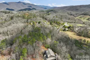 46 S Kimiko Ln, Balsam Grove, NC 28708 - Photo 19