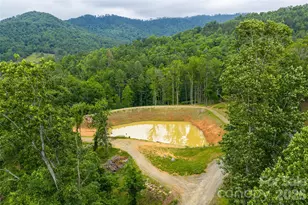 170 + 00000 Bear View Rd, Weaverville, NC 28787 - Photo 43