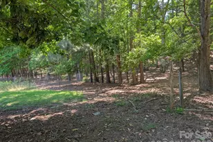 4053 Roddey Rd, Catawba, SC 29704 - Photo 41
