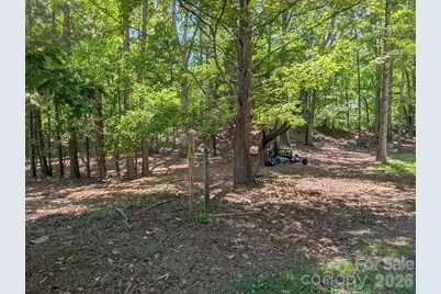 4053 Roddey Road, Catawba, SC 29704 - Photo 43