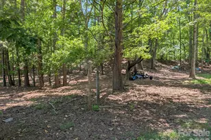 4053 Roddey Rd, Catawba, SC 29704 - Photo 43
