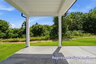 1062 Tradition Club St, York, SC 29745 - Photo 47