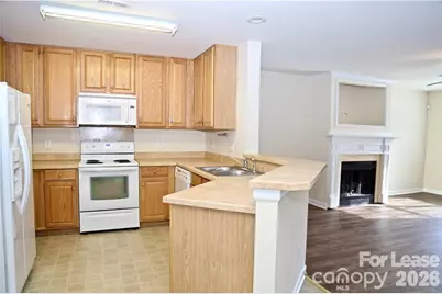 8727 Wandering Creek Way, Charlotte, NC 28227 - Photo 3
