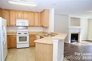 8727 Wandering Creek Way, Charlotte, NC 28227 - Photo 3