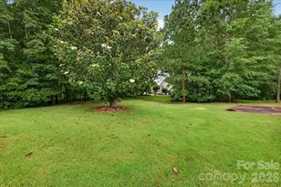 10604 Knight Castle Dr, Charlotte, NC 28277 - Photo 43
