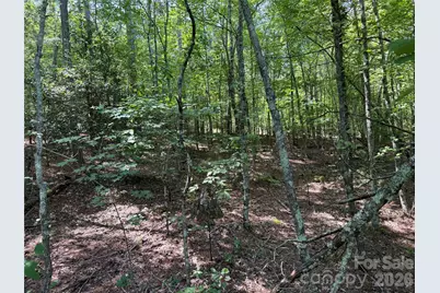 206 Corry Lane, Bostic, NC 28018 - Photo 7