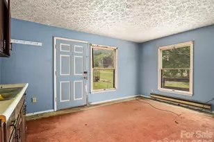 277 Orion Davis Rd, Waynesville, NC 28786 - Photo 11