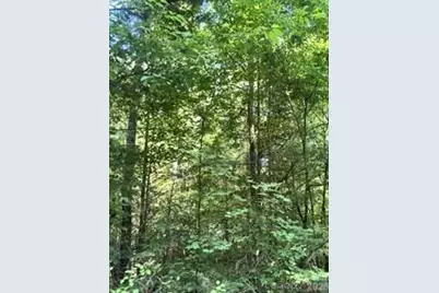 Tba Ricks Road, Sharon, SC 29742 - Photo 1