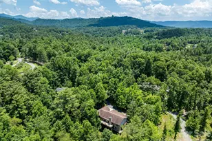 11 Robin Ln, Weaverville, NC 28787 - Photo 37