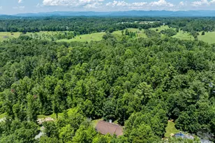 11 Robin Ln, Weaverville, NC 28787 - Photo 41