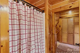 439 Upper Pig Pen Rd, Green Mountain, NC 28740 - Photo 19