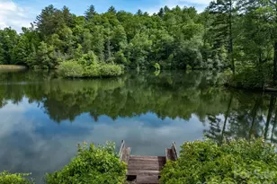 719 Deerlake Rd, Brevard, NC 28712 - Photo 15