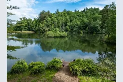 719 Deerlake Road, Brevard, NC 28712 - Photo 13