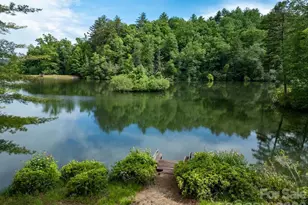 719 Deerlake Rd, Brevard, NC 28712 - Photo 13