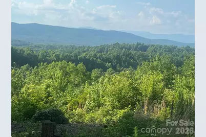 253 Falls Creek Drive, Nebo, NC 28761 - Photo 3