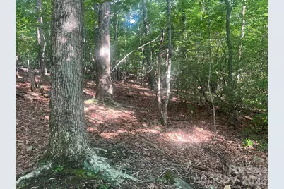 253 Falls Creek Drive, Nebo, NC 28761 - Photo 13