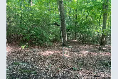 253 Falls Creek Drive, Nebo, NC 28761 - Photo 11