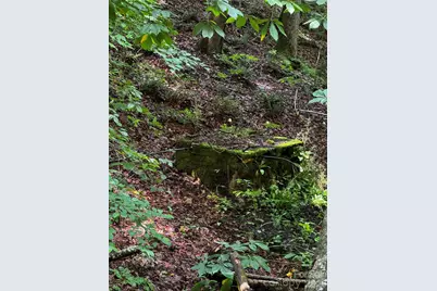 1327 Nc 80 Highway, Bakersville, NC 28705 - Photo 37