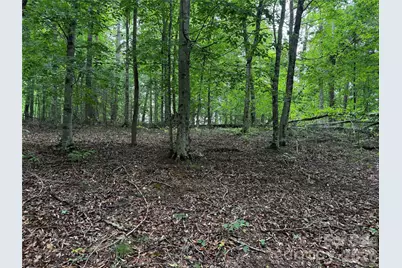 1327 Nc 80 Highway, Bakersville, NC 28705 - Photo 35