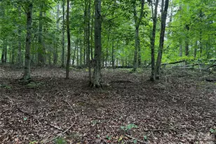 1327 Nc 80 Hwy, Bakersville, NC 28705 - Photo 35